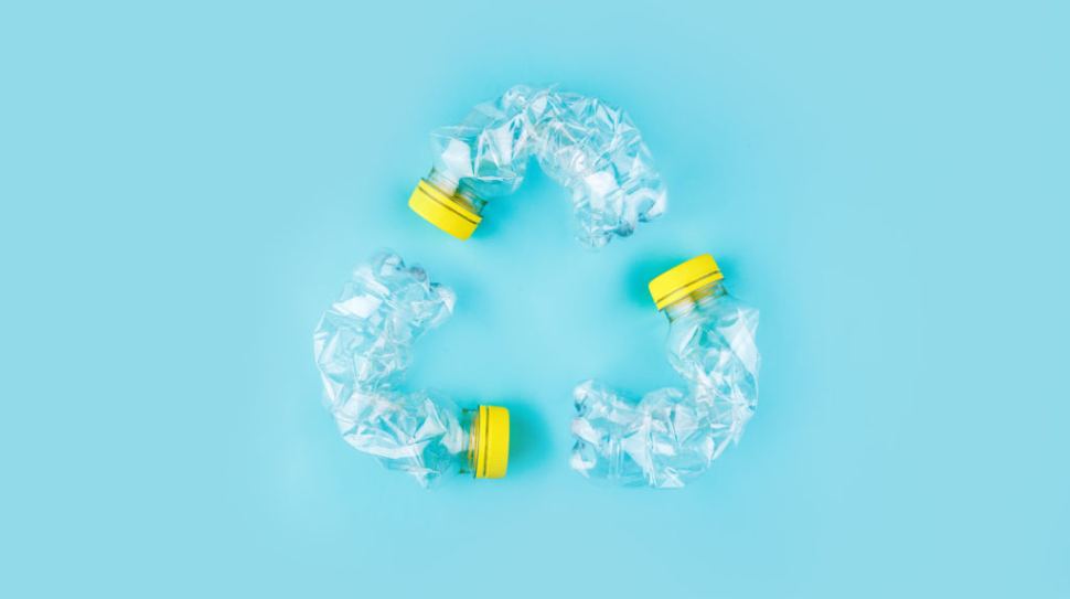 shutterstock_1345281257_opt-1024x683